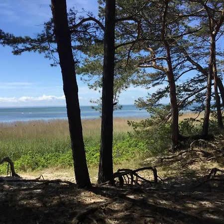 Reset Ul. Ratibora 66 *