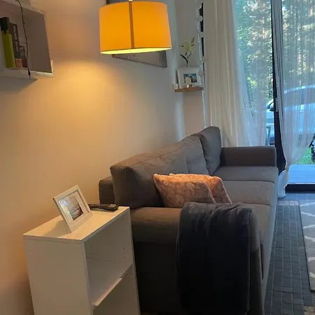 Reset Ul. Ratibora 66 公寓 *