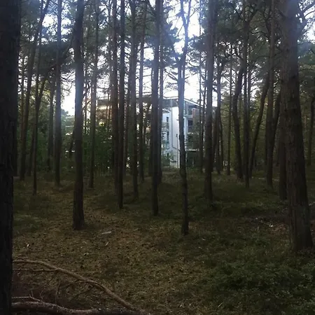 Reset Ul. Ratibora 66 * 拉塔