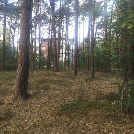 Reset Ul. Ratibora 66 公寓