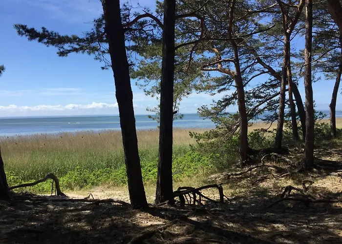 Reset Ul. Ratibora 66 *