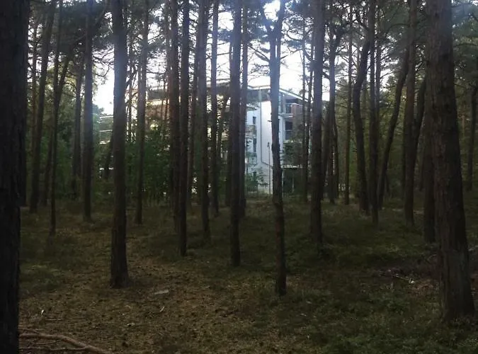 Reset Ul. Ratibora 66 * Jurata