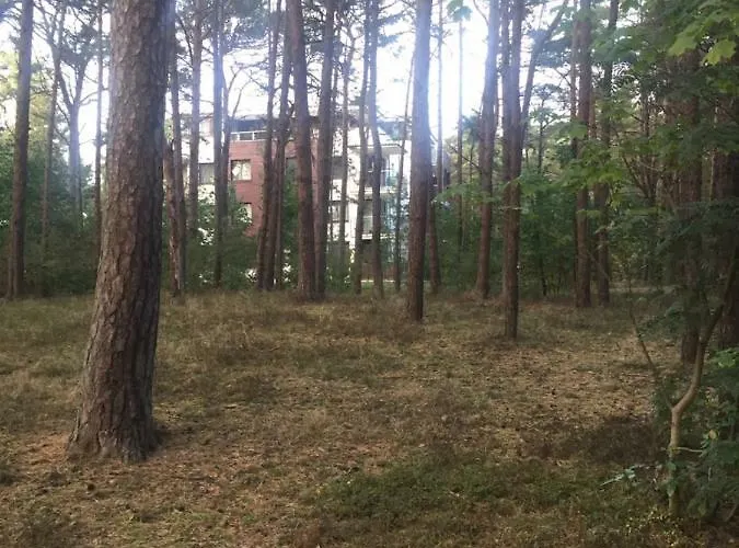 Reset Ul. Ratibora 66 Apartment